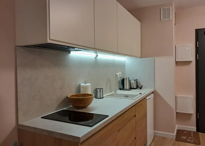 Apartamento śródmieście